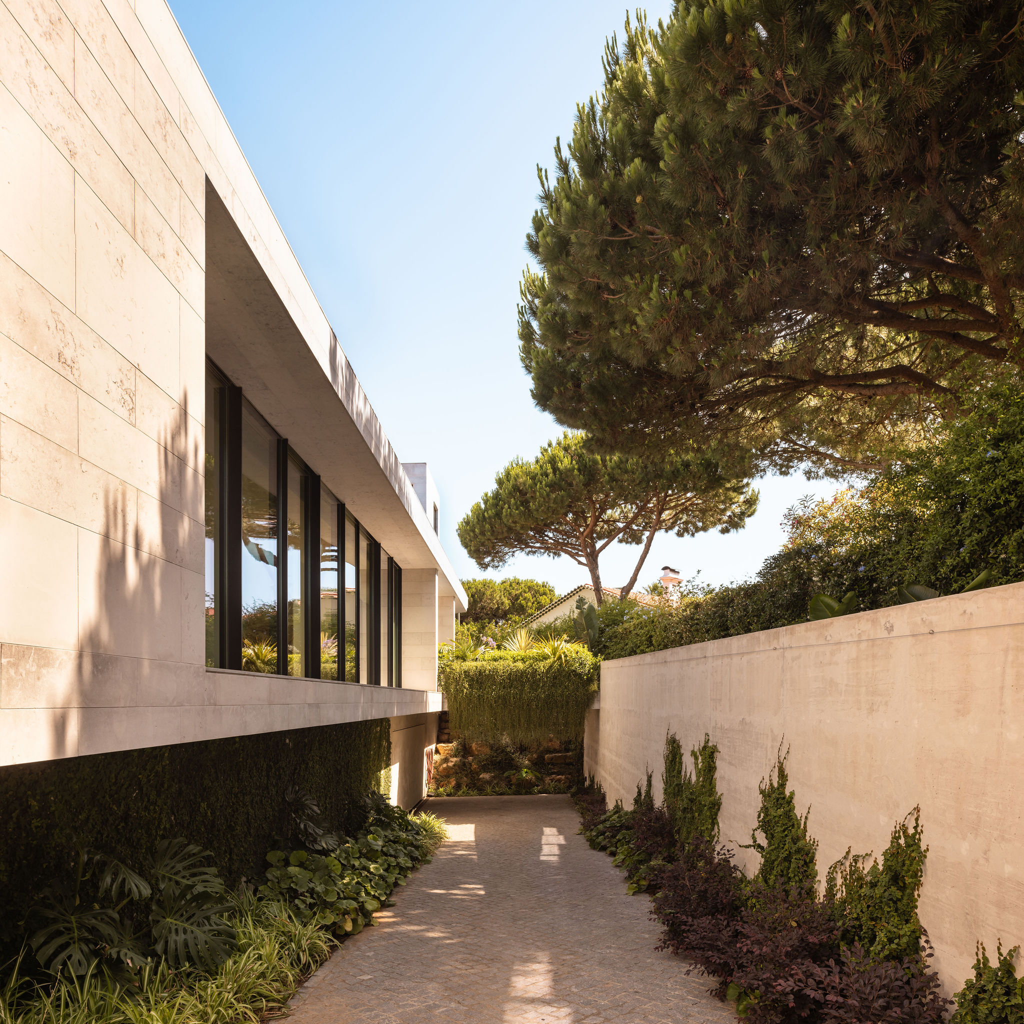 Casa V / V House