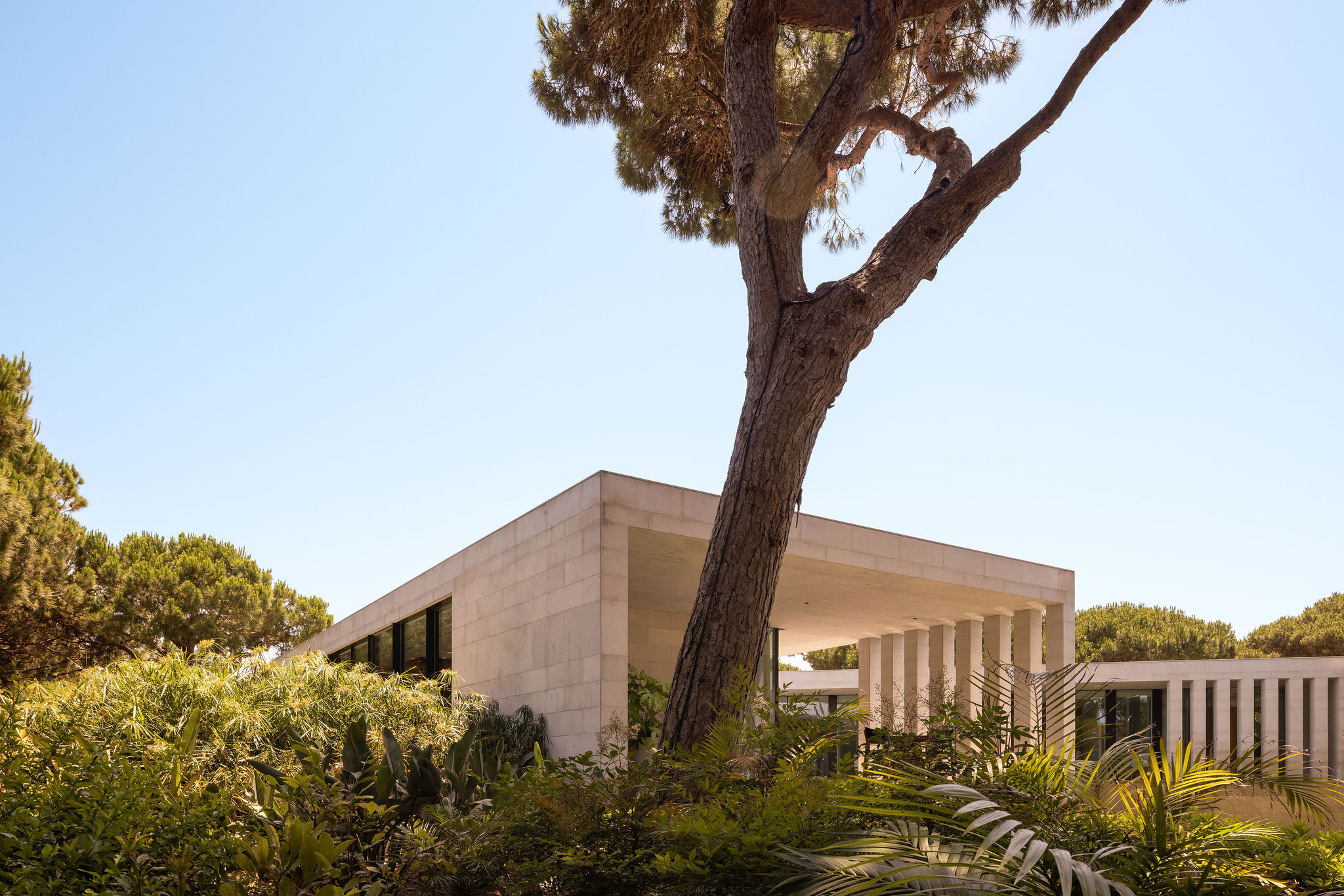 Casa V / V House