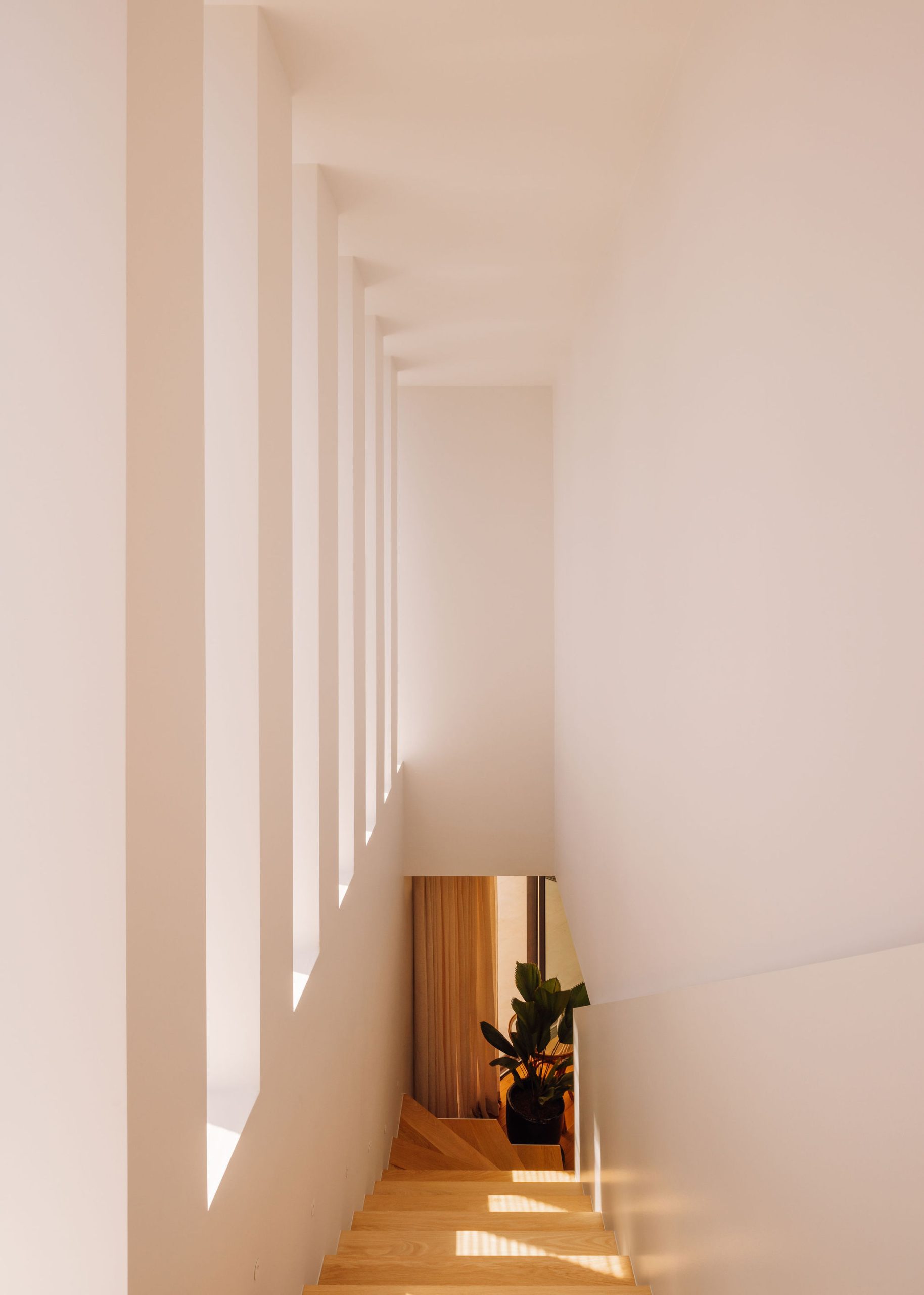 Casa V / V House