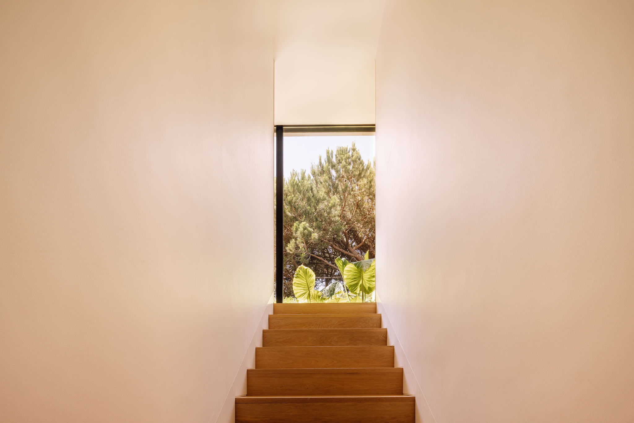 Casa V / V House