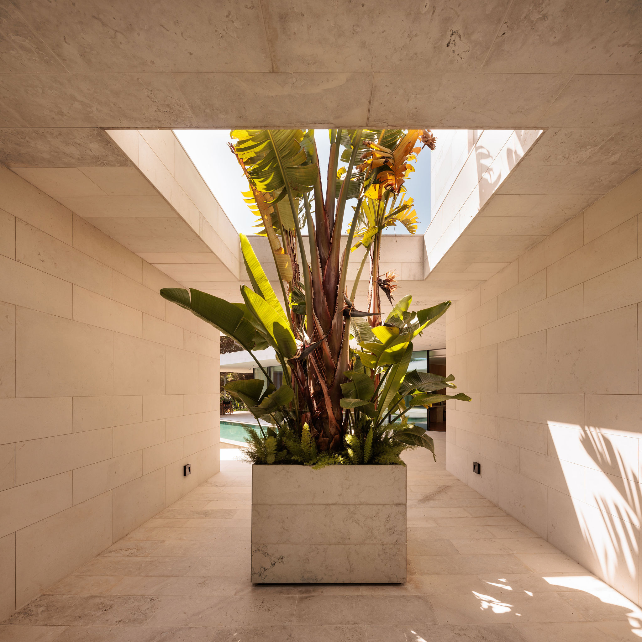 Casa V / V House