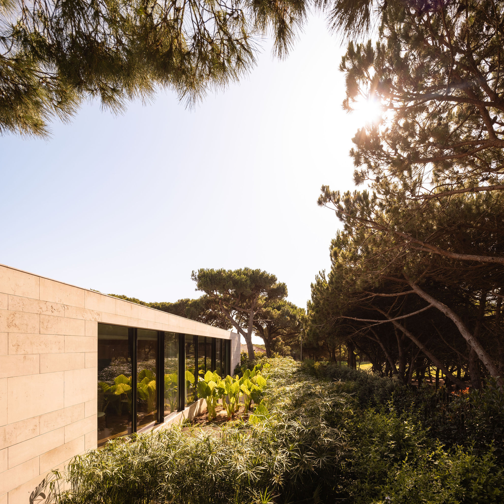 Casa V / V House