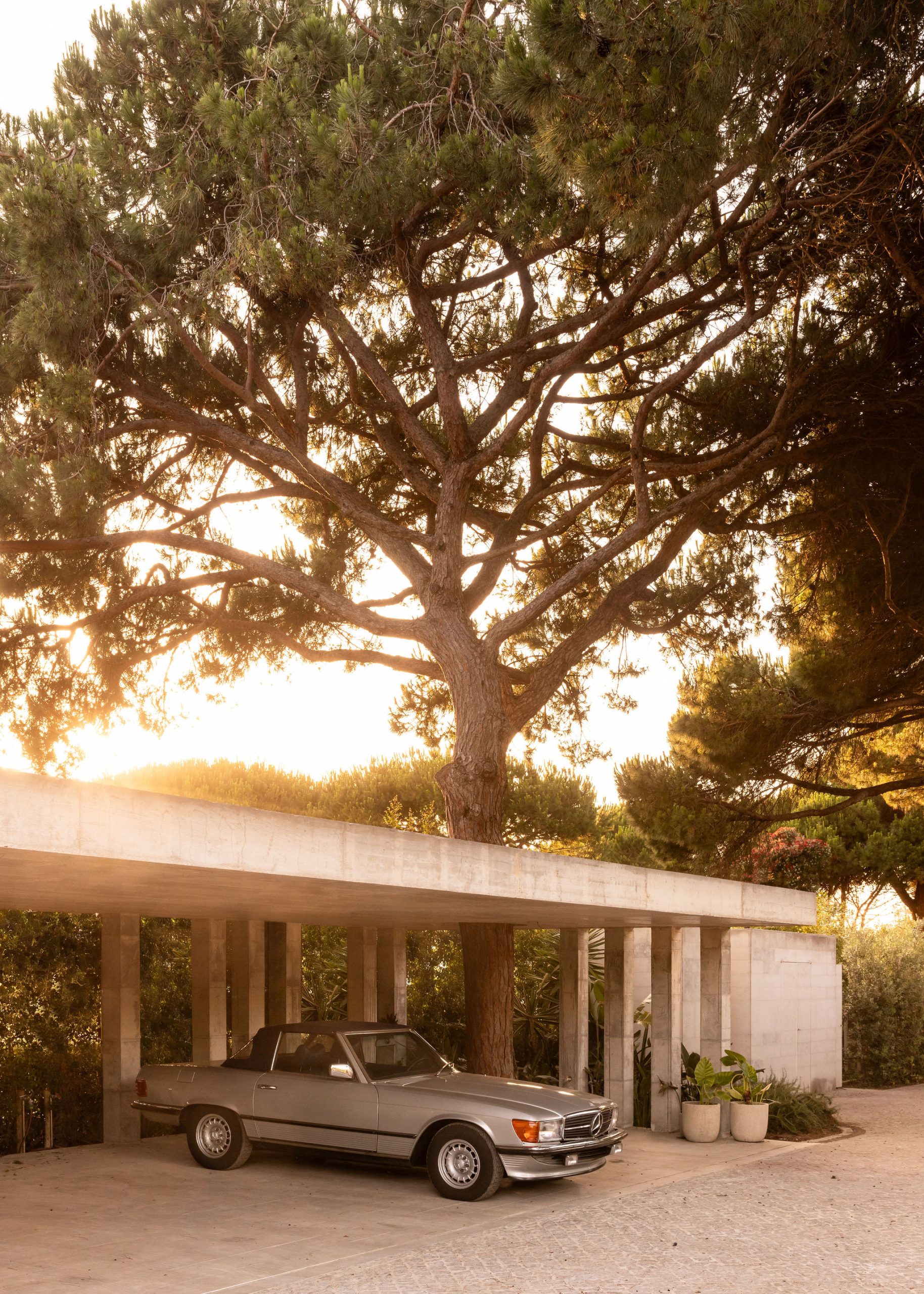 Casa V / V House